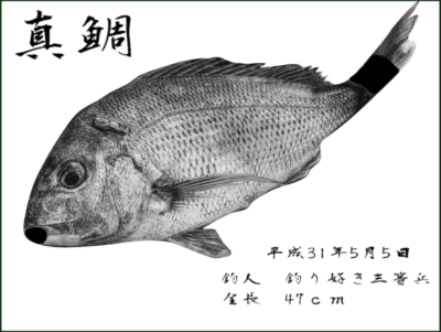 無料で出来るデジタル魚拓の作り方 インスケープ導入編 子どもと妻と釣りと僕