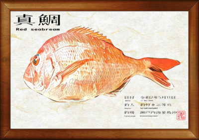 無料で出来るデジタル魚拓の作り方 インスケープ導入編 子どもと妻と釣りと僕
