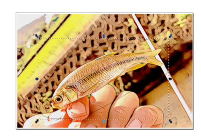 Inkscape 5分で出来る デジタル魚拓で魚のまわりボカして切り取る方法 子どもと妻と釣りと僕