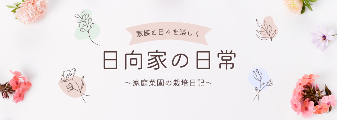 ひなた家の日常